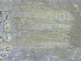 image of grave number 969414